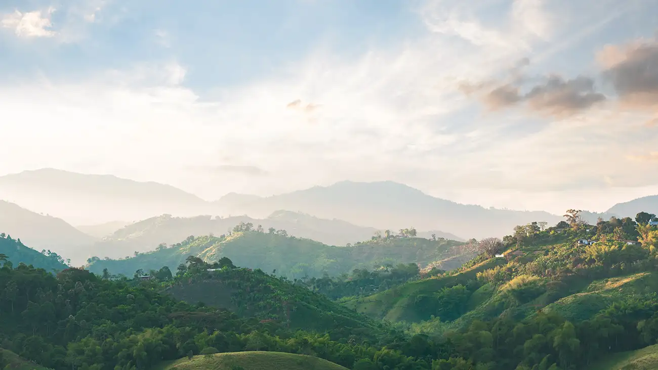 Zona cafetera colombiana: un viaje entre cafetales, montañas y aroma a café