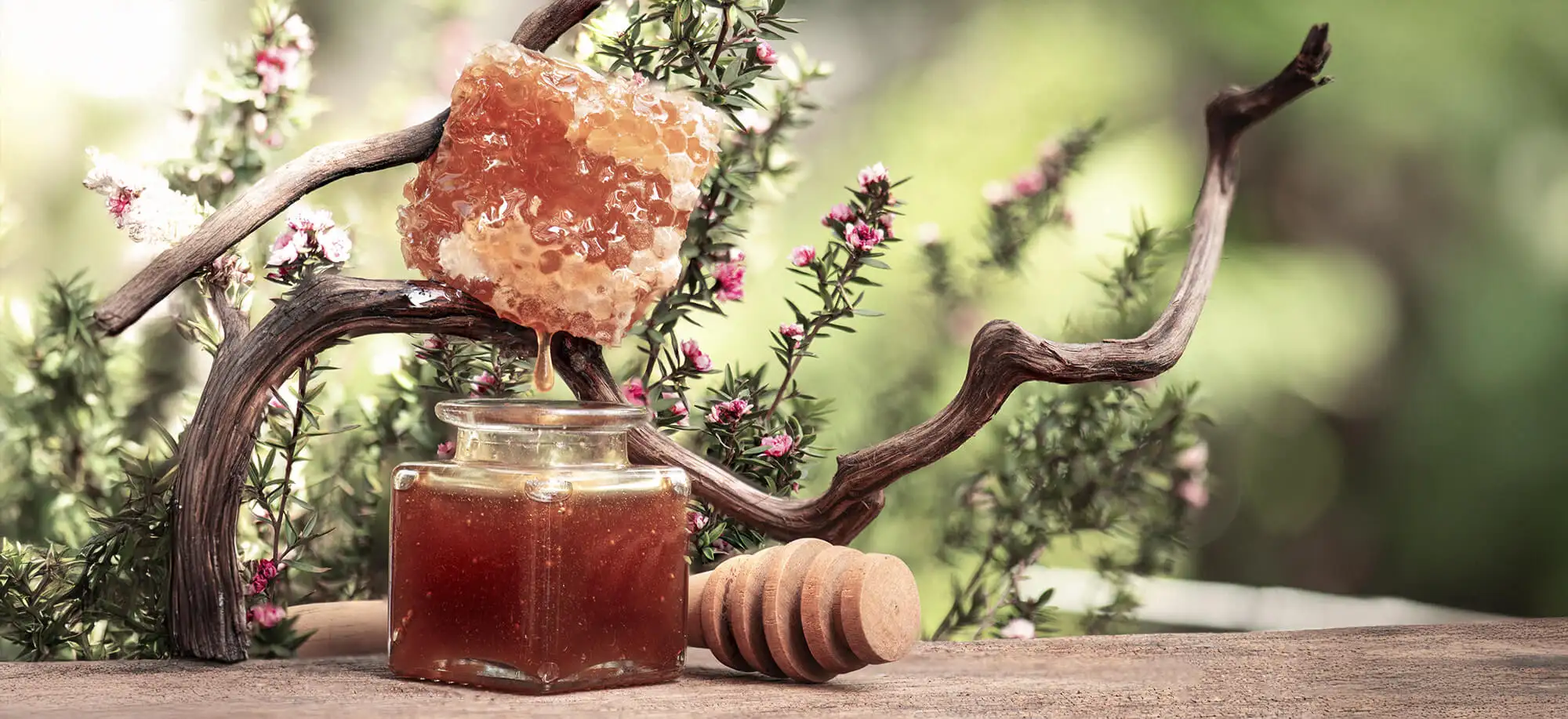 Comida típica de Nueva Zelanda