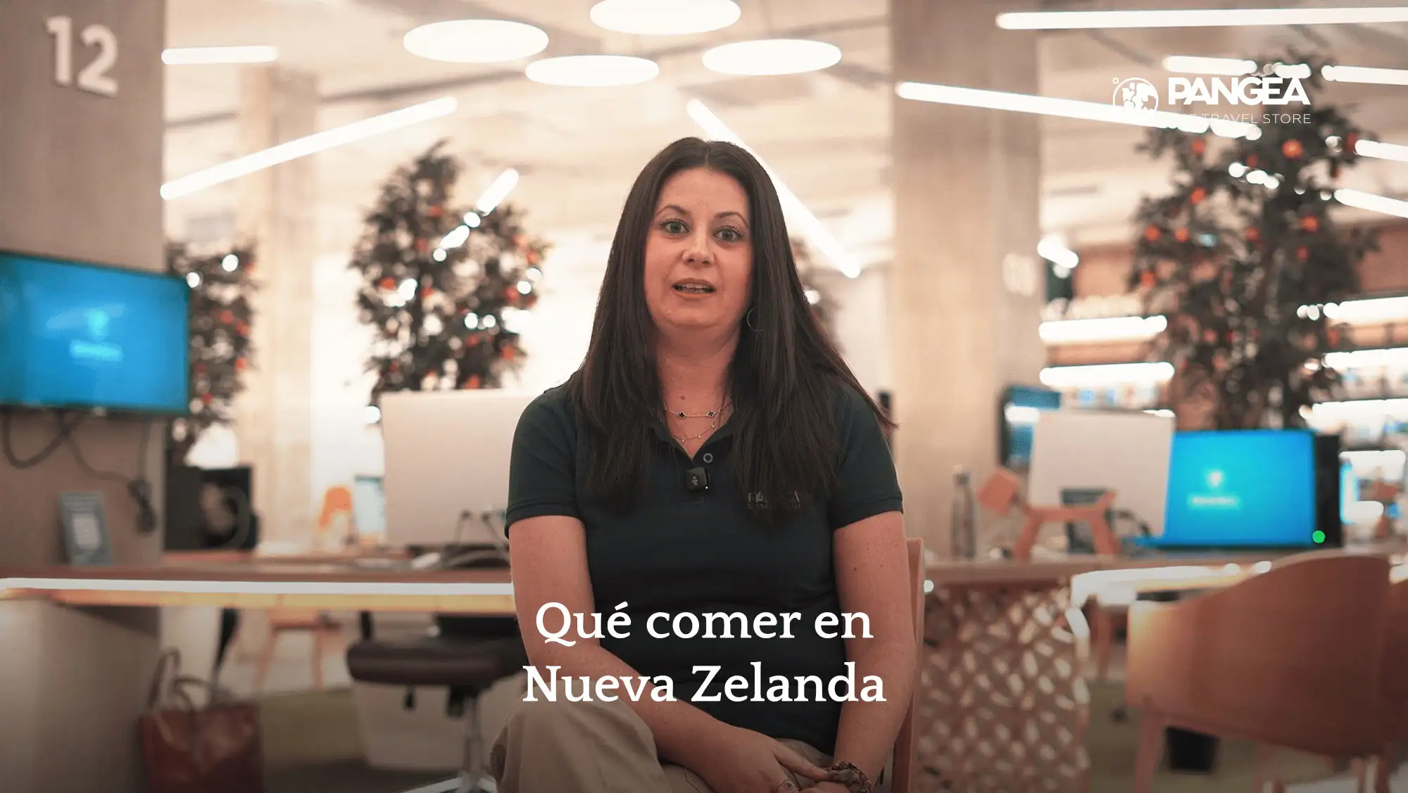 video modal image
