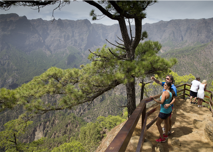 alquilar un coche en la palma
