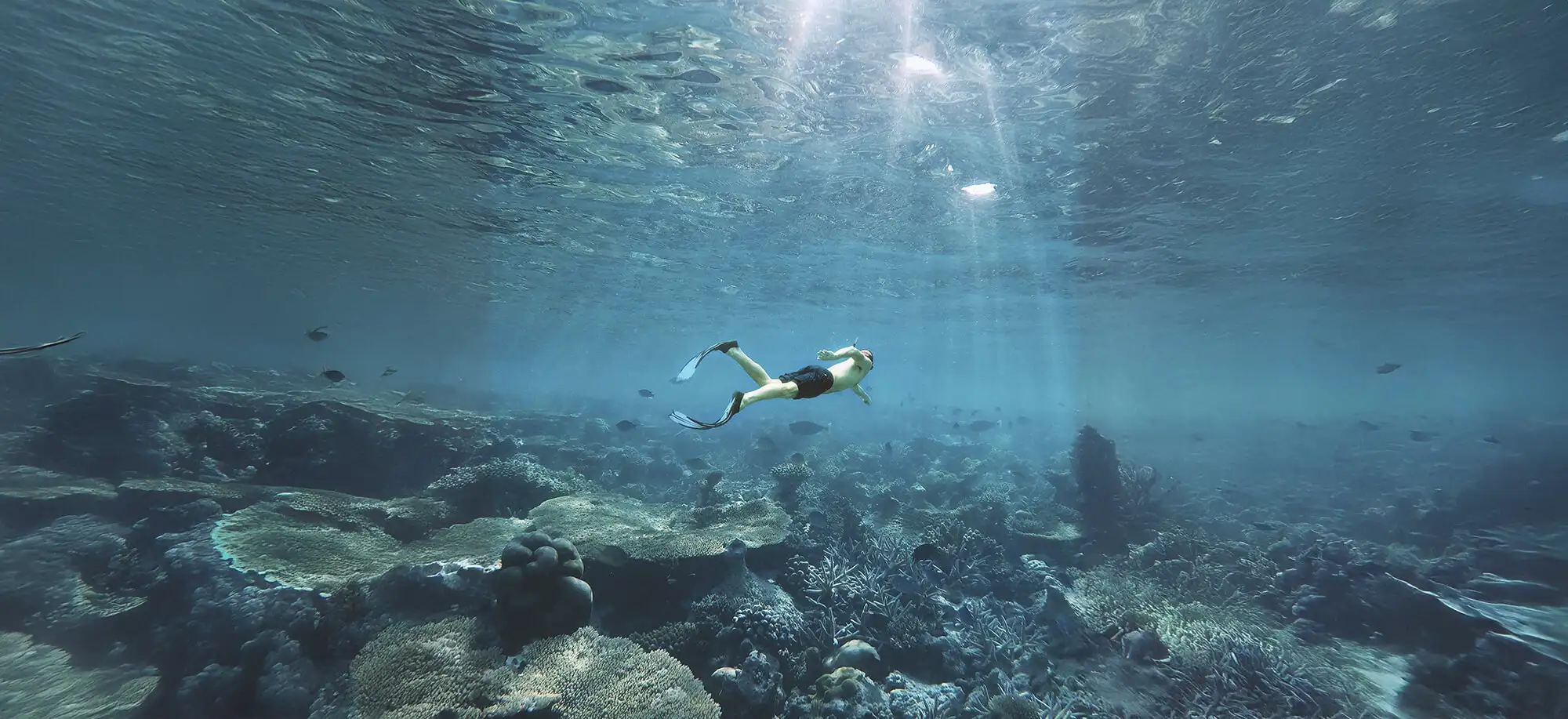 Qué ver y hacer en Maldivas