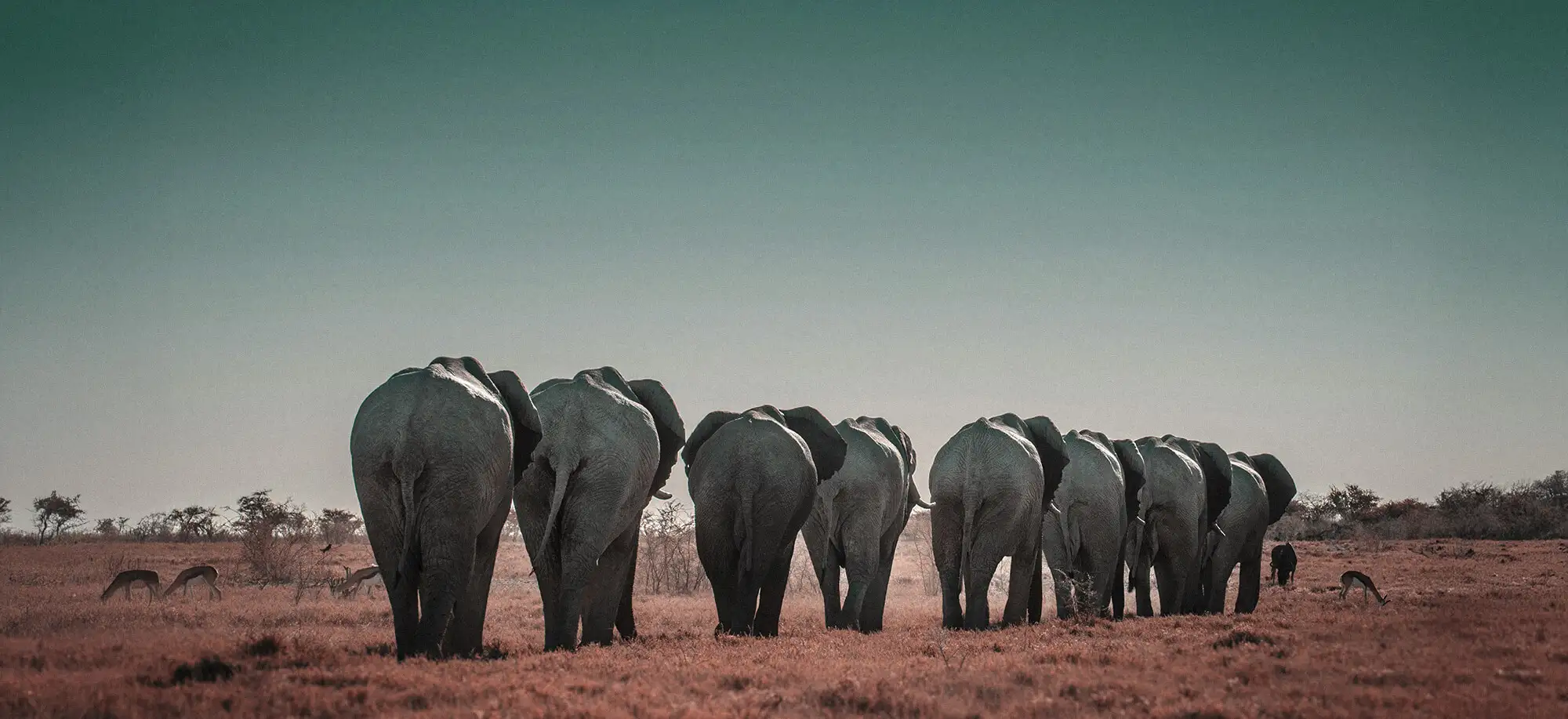 Qué ver y hacer en Namibia
