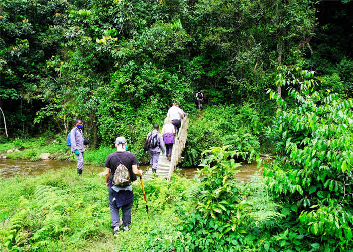 que-hacer-uganda-trekking