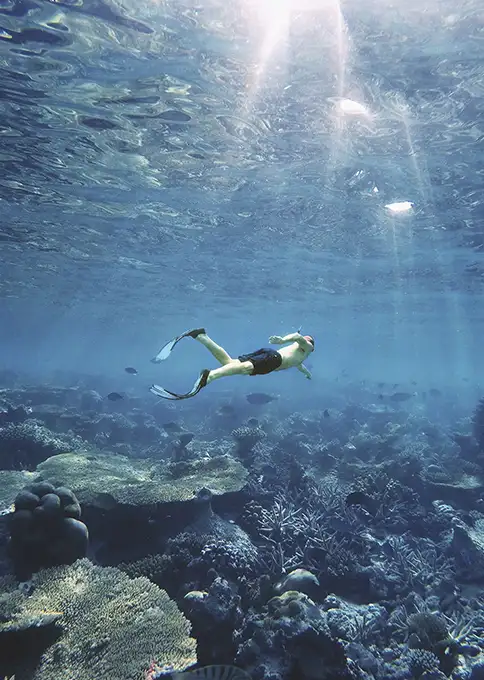 Qué ver y hacer en Maldivas