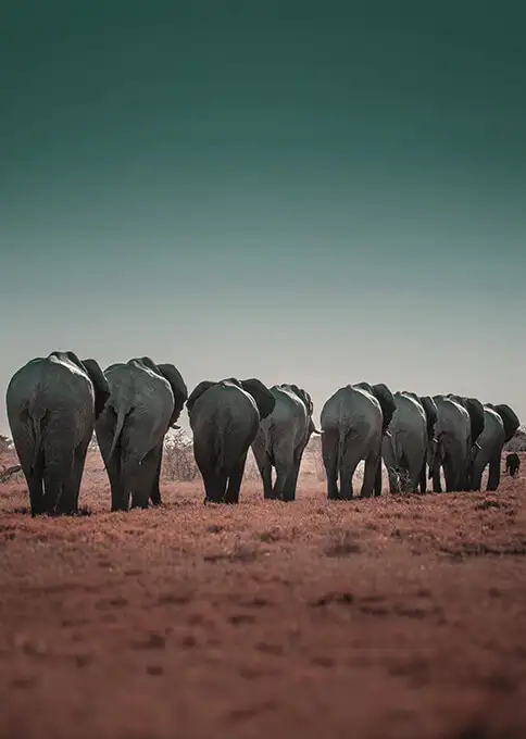 Qué ver y hacer en Namibia