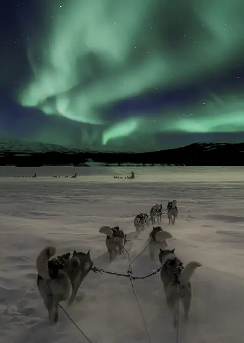 Qué ver y hacer en Noruega