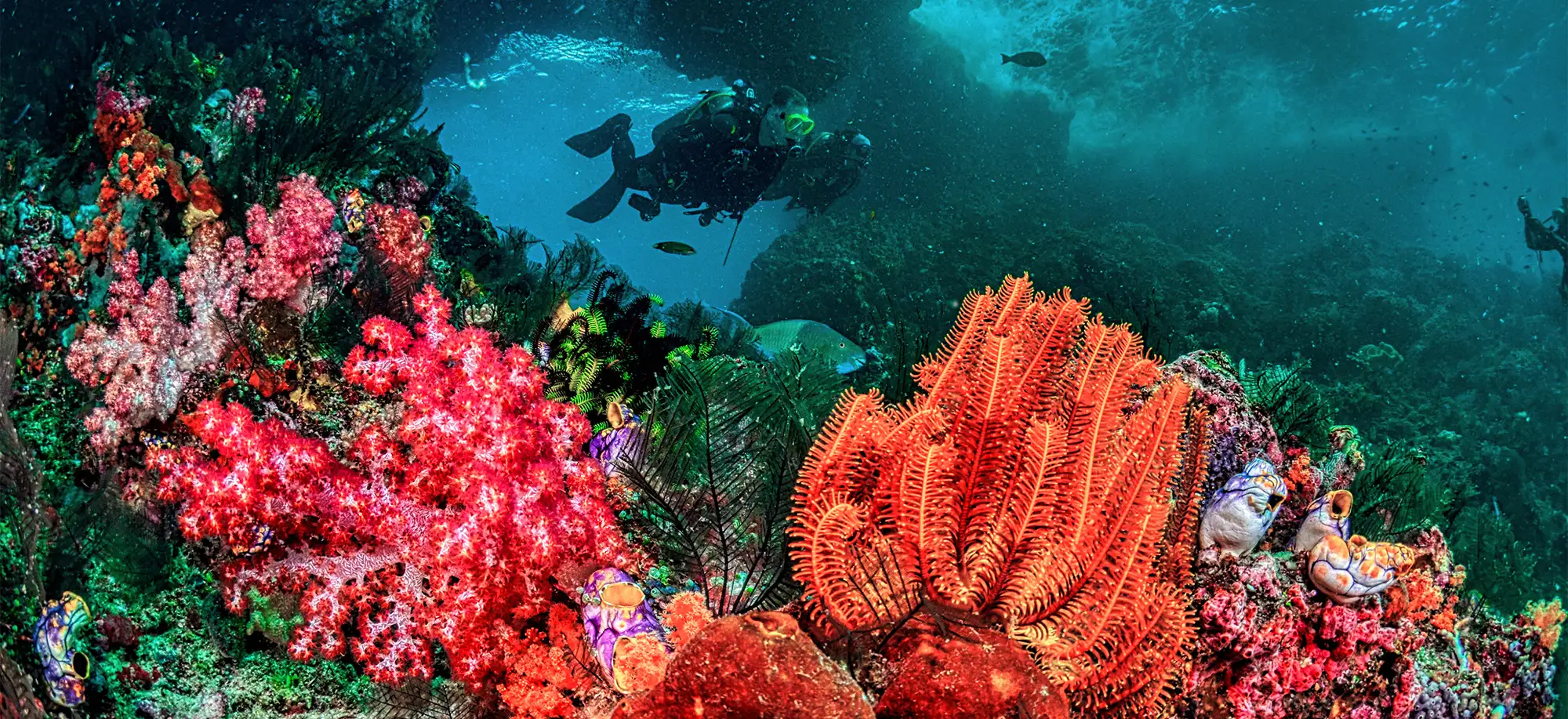 Qué ver y hacer en Fiji
