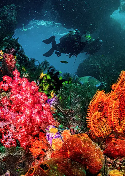 Qué ver y hacer en Fiji
