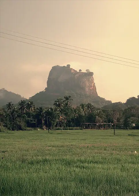 Qué ver y hacer en Sri Lanka
