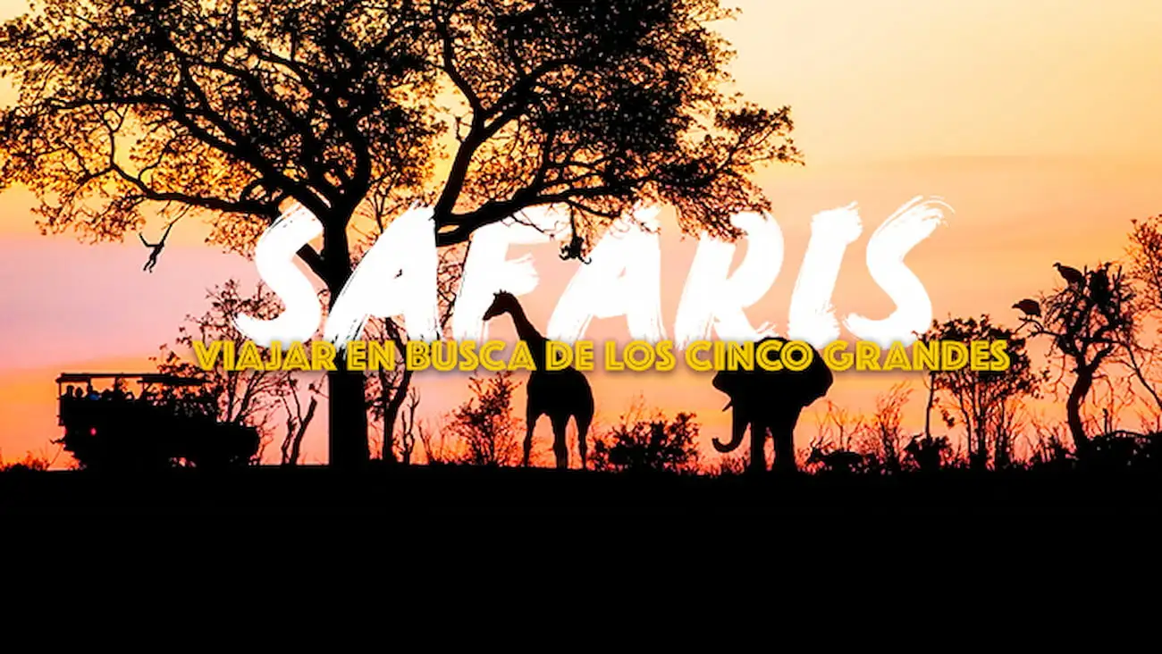 Cómo elegir el mejor destino para hacer un safari en África
