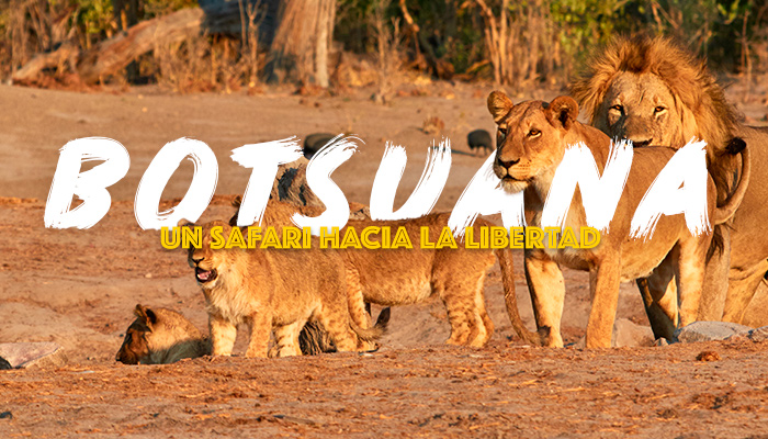 safari-botsuana-viaje