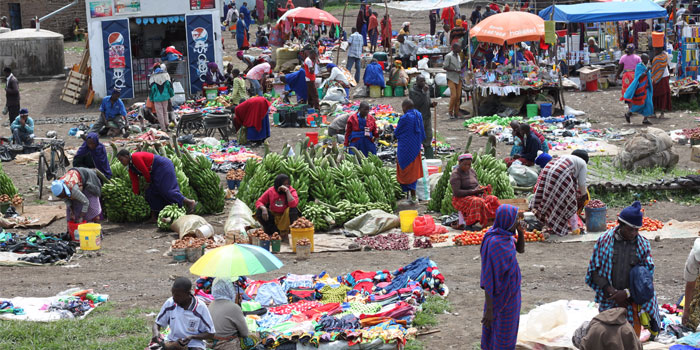 Viaje a Tanzania con safari en el parque taranguire