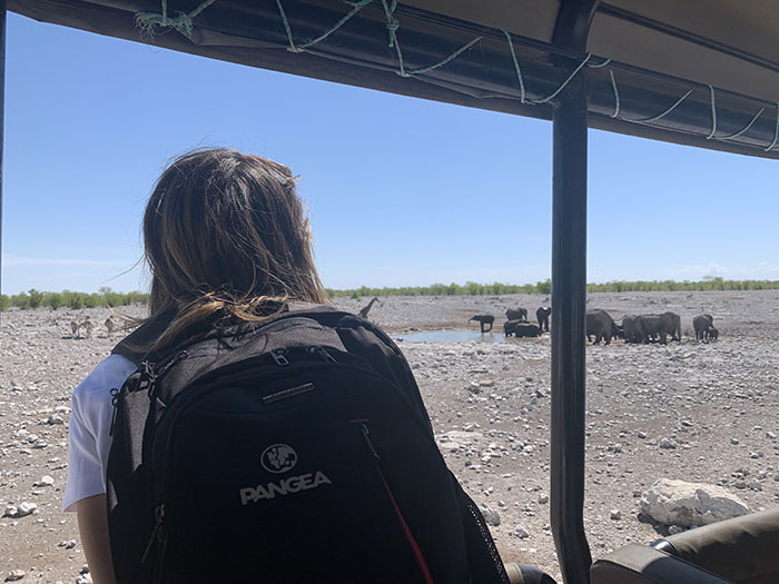safari-etosha-viaje-namibia