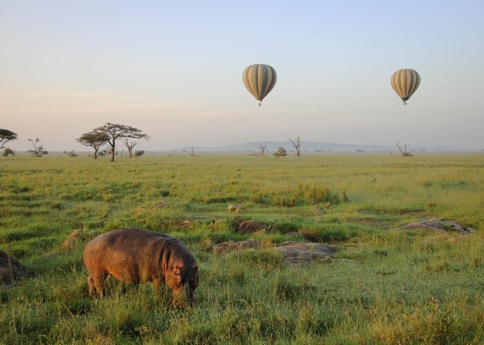 safari-kenia-familia-globo