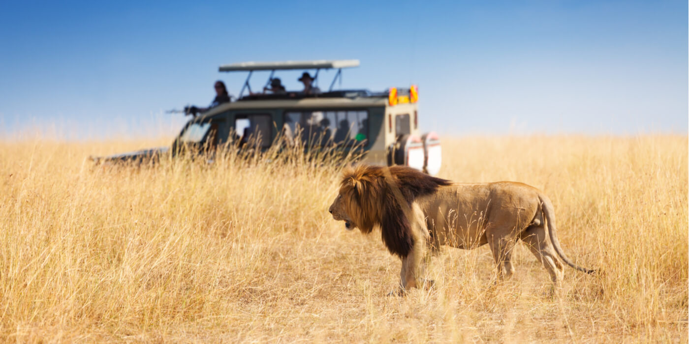 ¿Cuál es la mejor época para hacer un viaje de safari a Kenia?