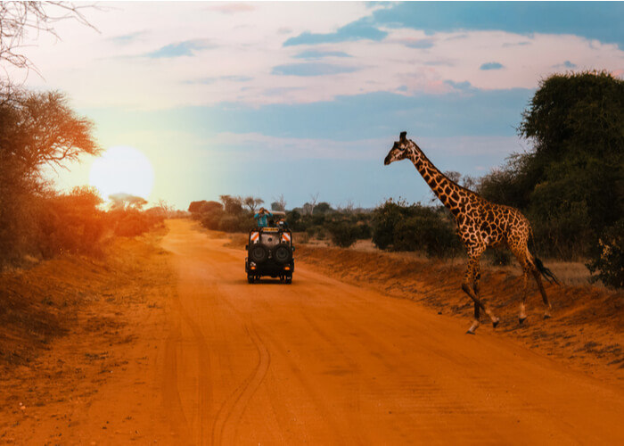 safari_kenia_jeep_jirafa