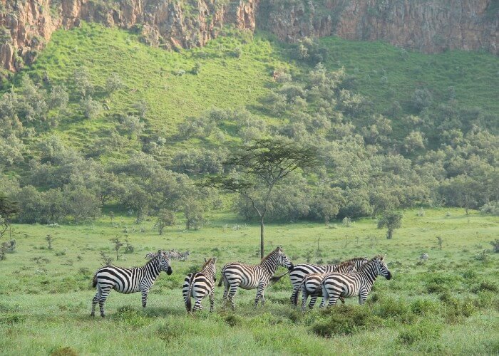 safari-kenia-niños-Hell-Gate