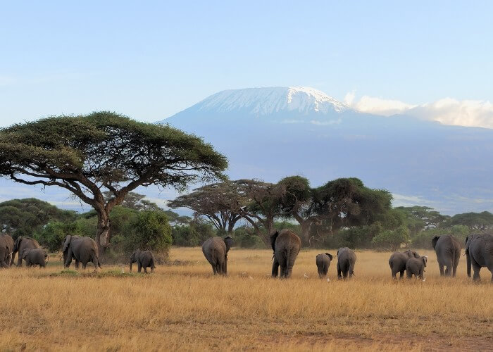 9. Las mejores vistas al Kilimanjaro están en Kenia