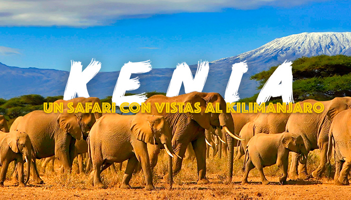 safari-kenia-viaje