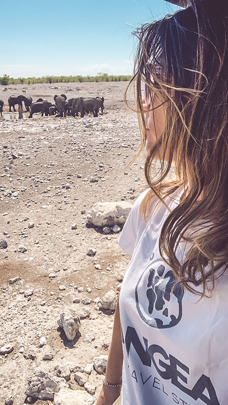 safari-namibia-carmen-etosha