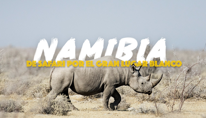 safari-namibia-viaje