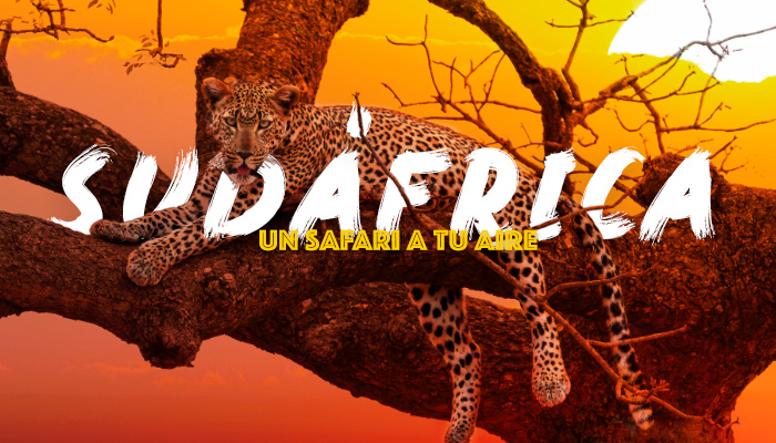 5. Sudáfrica, un safari a tu aire