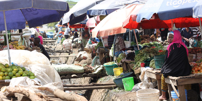 Safari en tanzania y mercado local