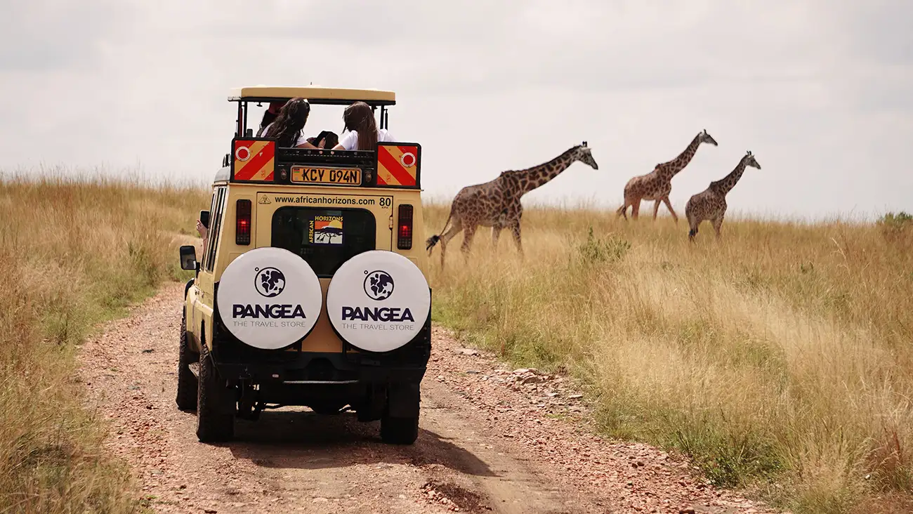 Cómo elegir el mejor destino para hacer un safari en África