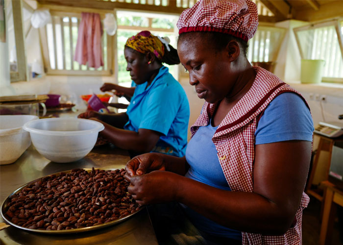 santo-tome-turismo-cacao