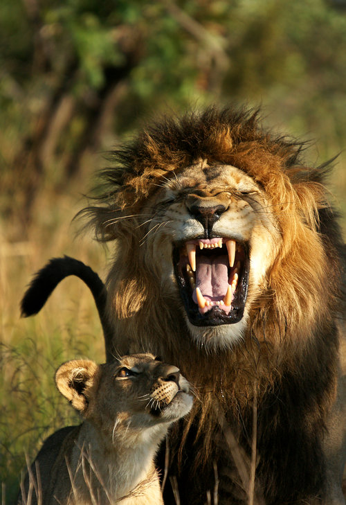 3. Los sonidos que te rodean