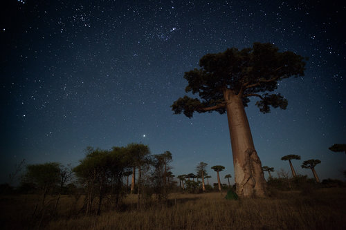 2. Presenciar el abrumador manto de estrellas