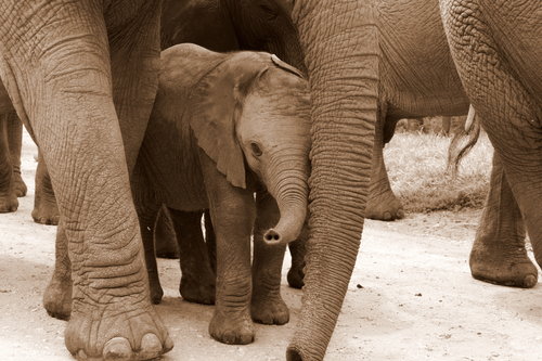 5. Sentir que el extraño eres tú