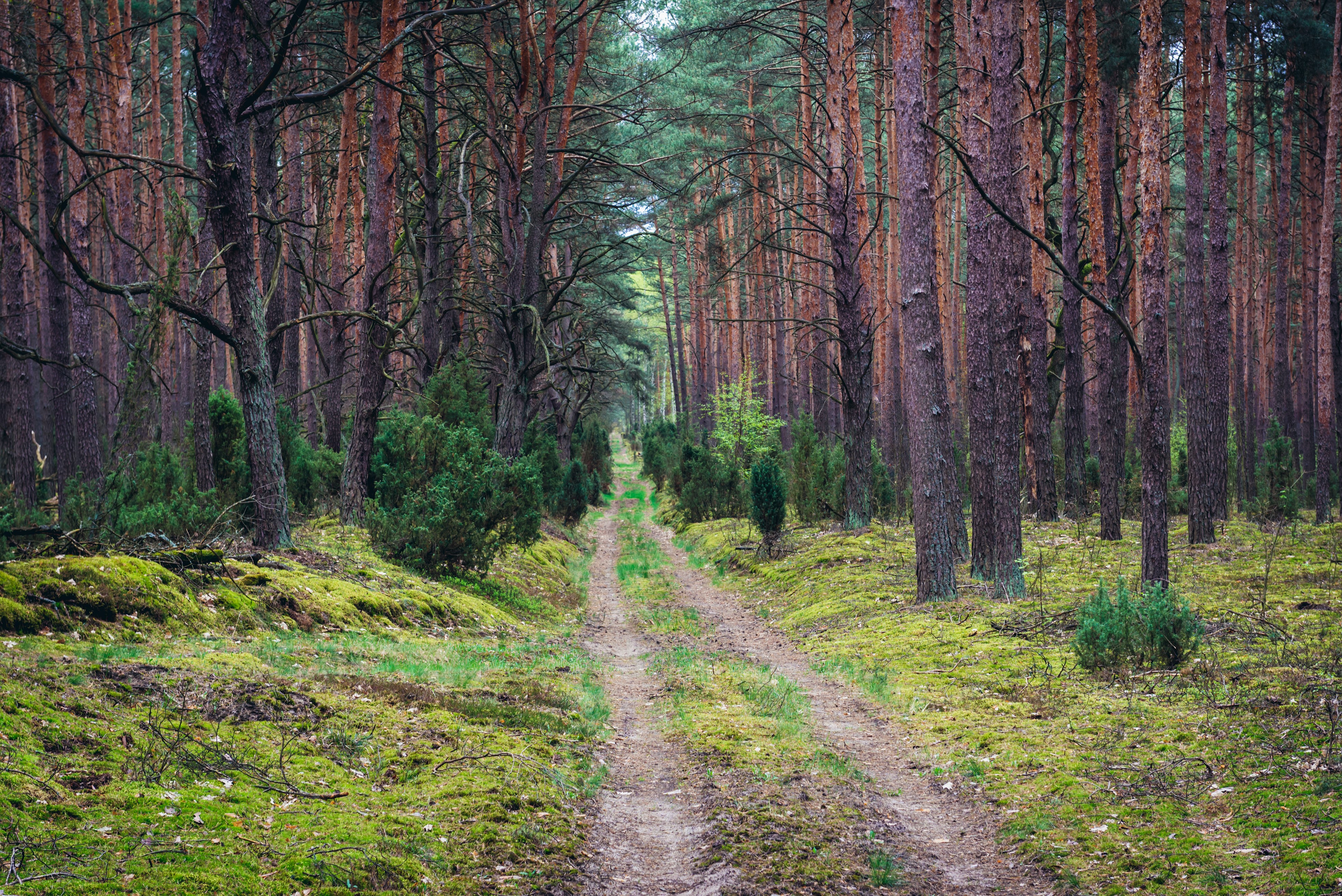 3. Naturaleza en estado puro.