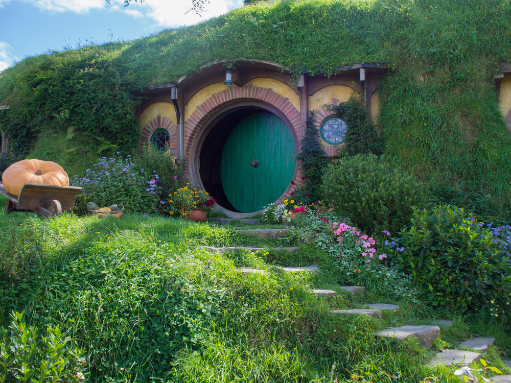 Señor de los anillos