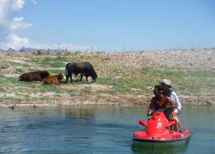 texas-experiencia-eeuu