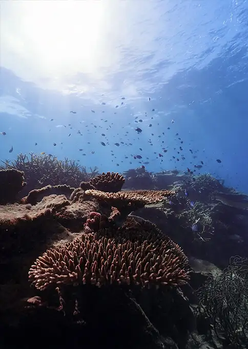 Consejos para viajar a Australia