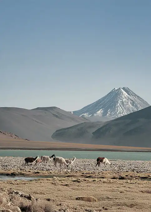Consejos para viajar a Perú