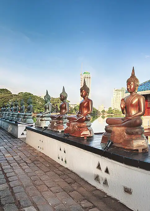 Consejos para viajar a Sri Lanka