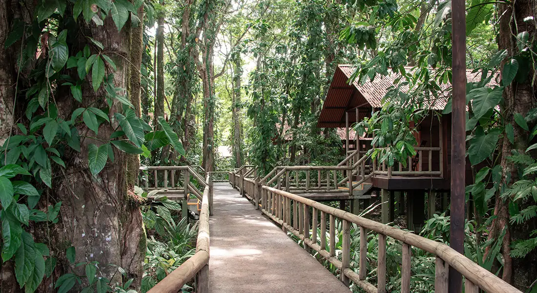 turismo-eco-lodge-blog.webp - Pangea Viajes