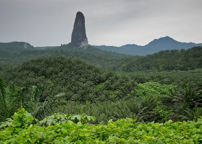 turismo-santo-tome-cao