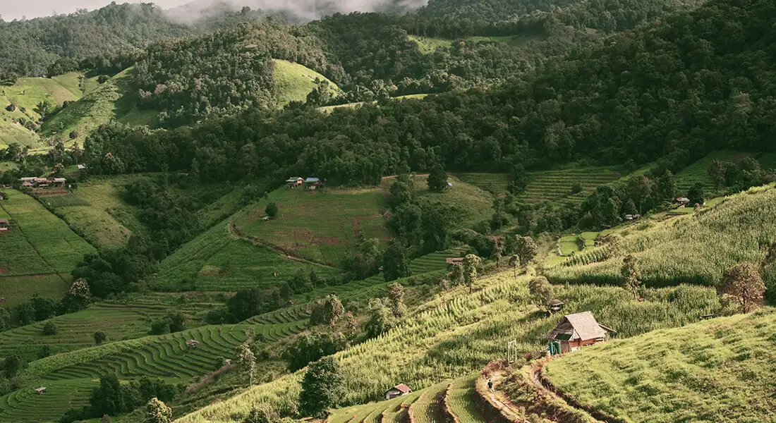 vacunarse-tailandia-blog.webp - Pangea Viajes