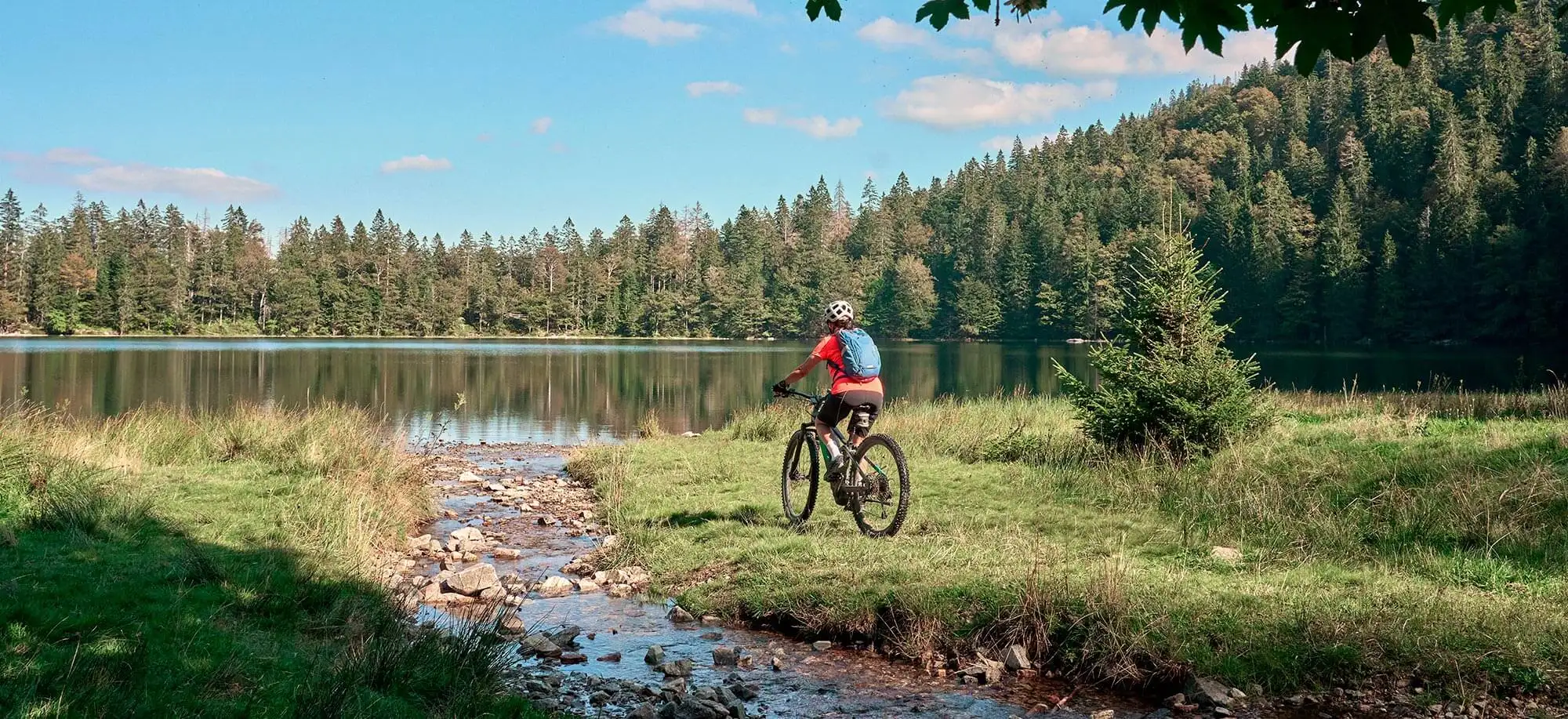 image-viajar-a-alemania-la-selva-negra-g2.webp - Pangea Viajes