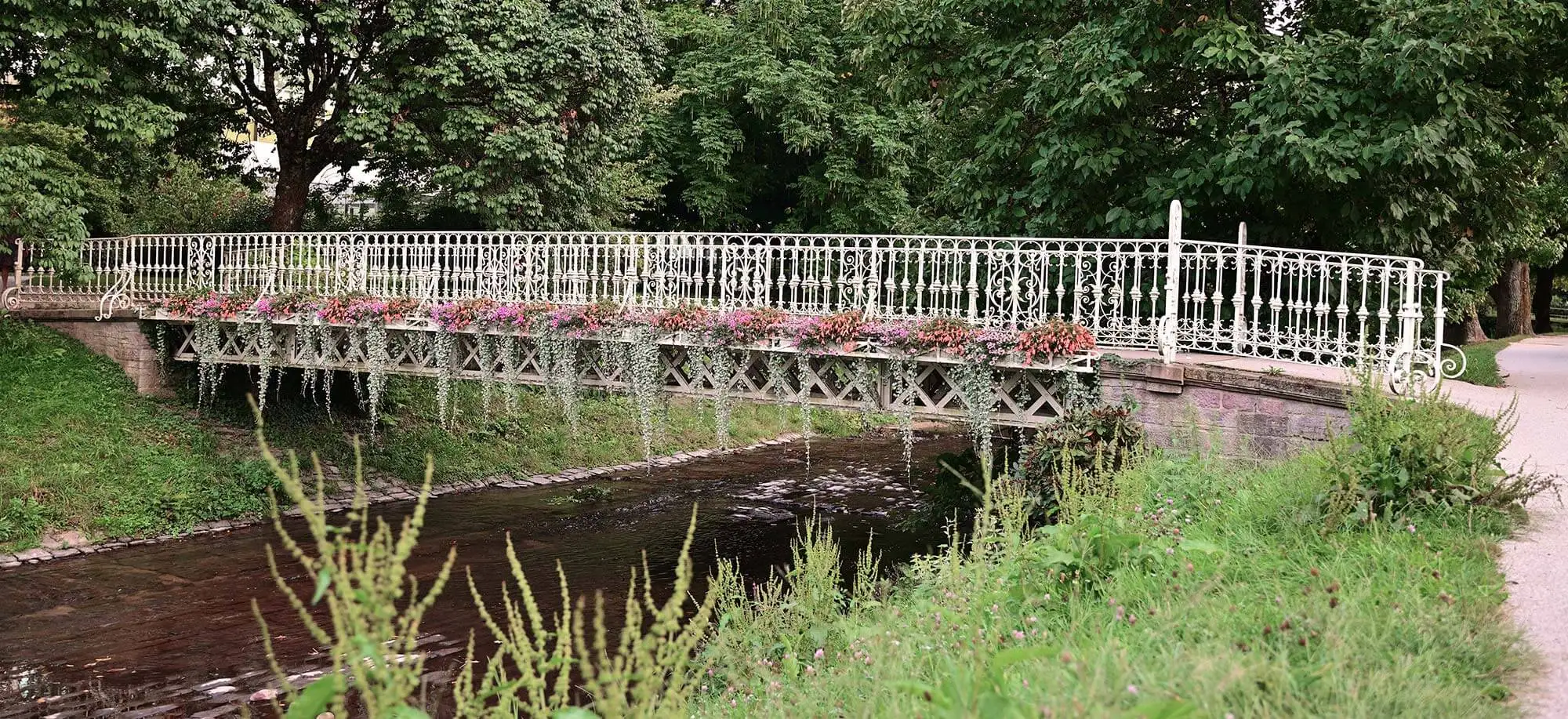 image-viajar-a-alemania-la-selva-negra-g3.webp - Pangea Viajes