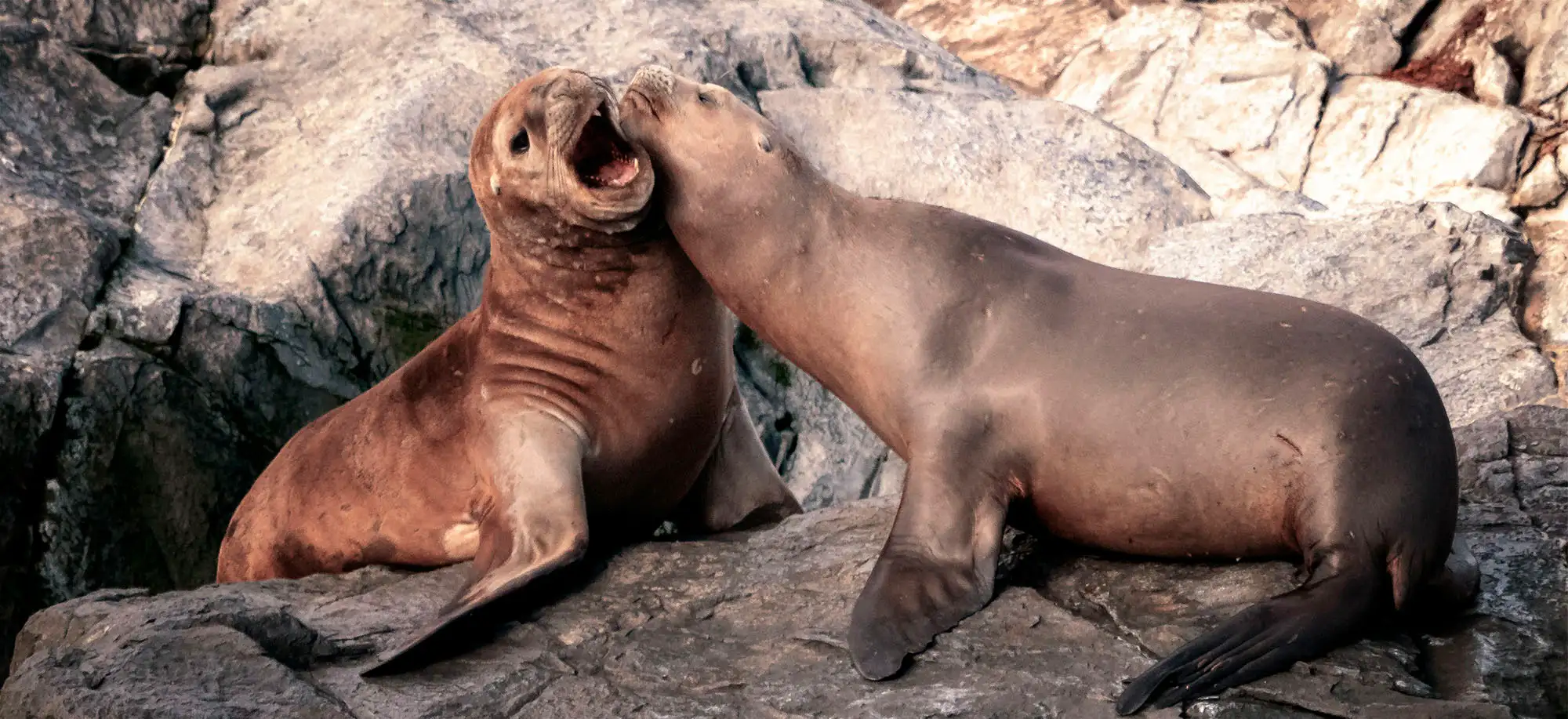 image-viajar-a-argentina-canal-de-beagle-g1.webp - Pangea Viajes