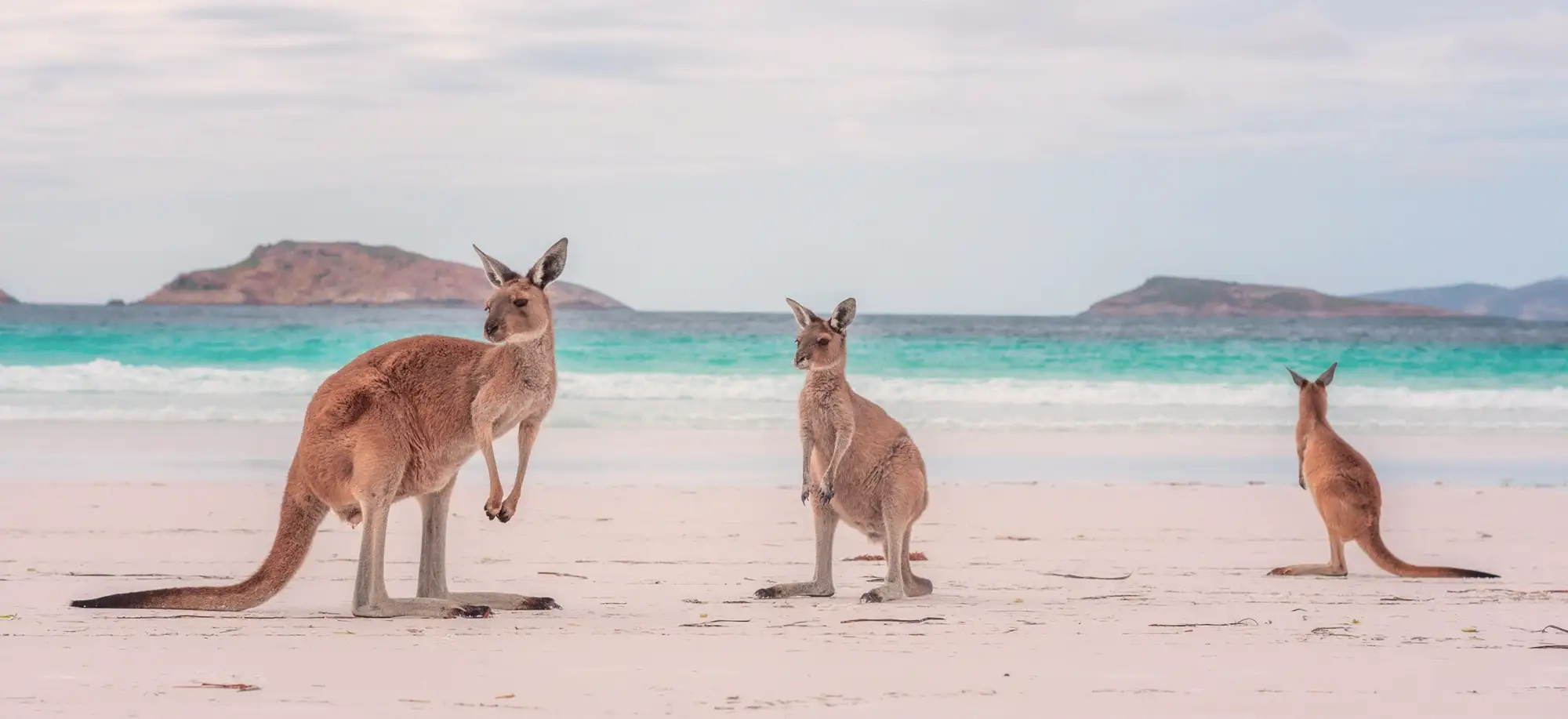 Viatges a Austràlia