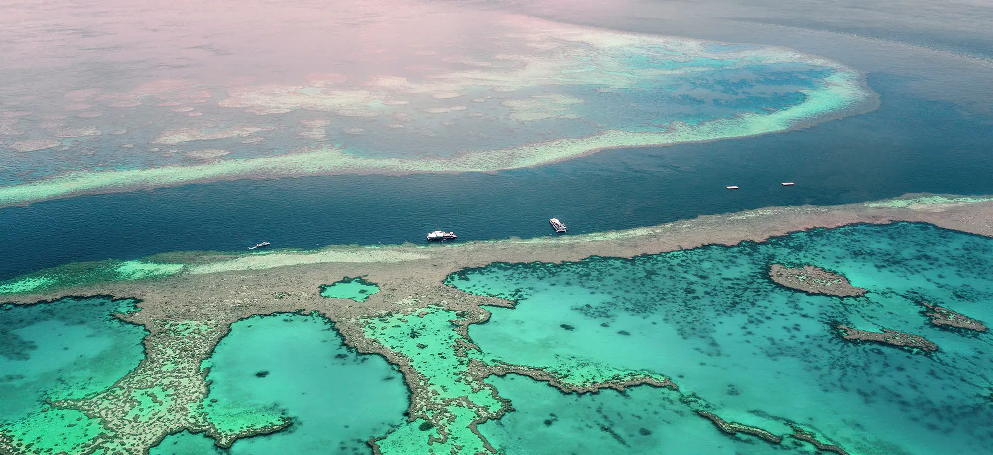 Viatges a la Gran Barrera de Coral