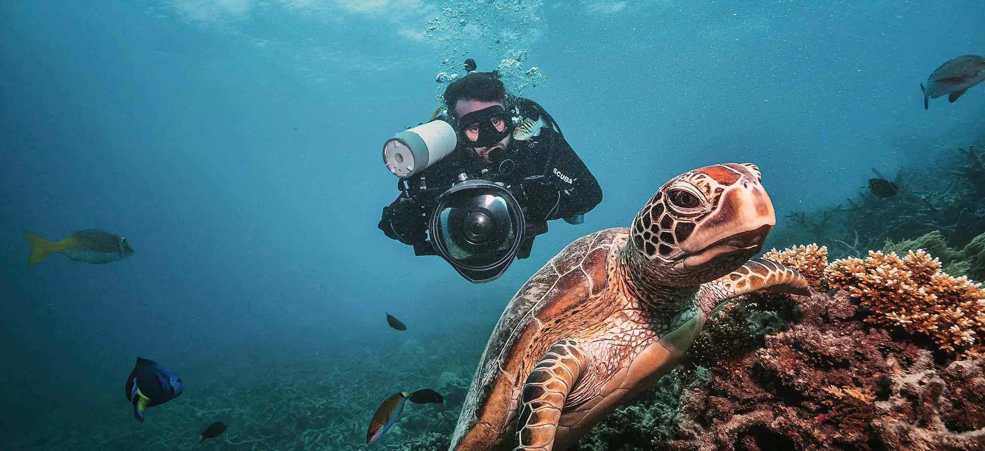 image-viajar-a-australia-la-gran-barrera-de-coral-g1.webp - Pangea Viajes