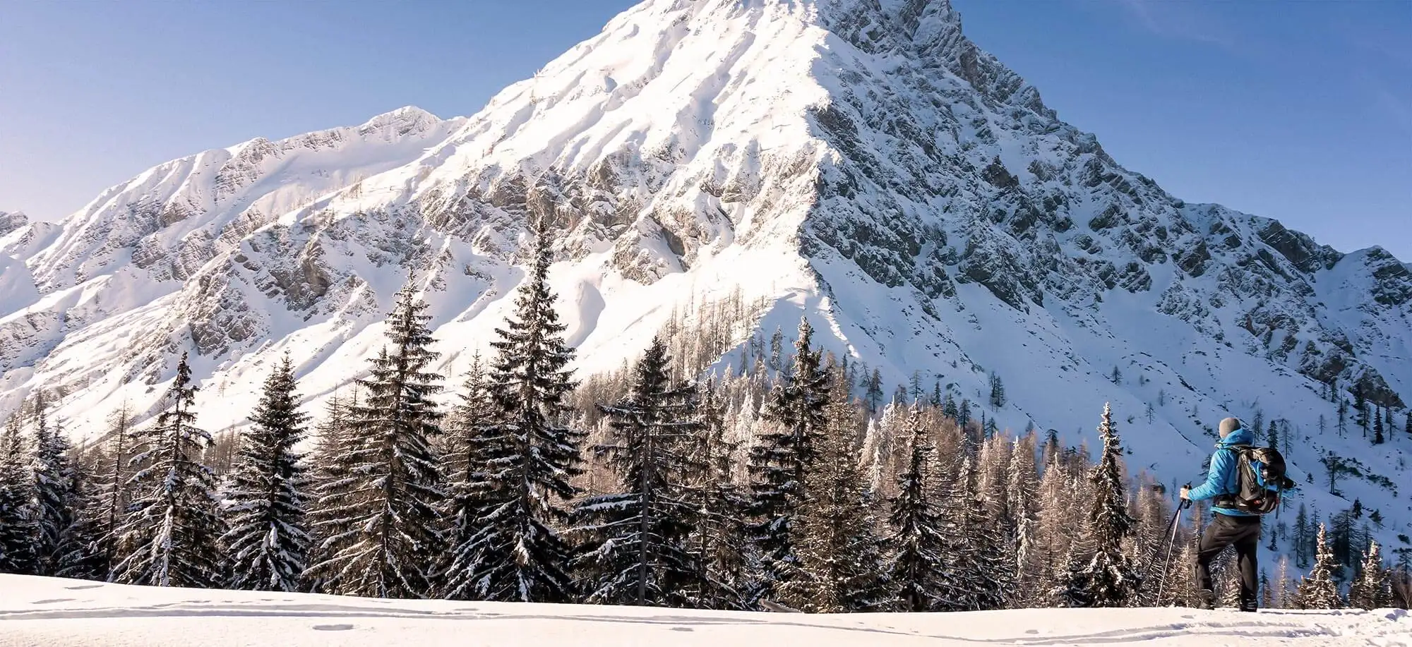 image-viajar-a-austria-los-alpes-austriacos-g3.webp - Pangea Viajes