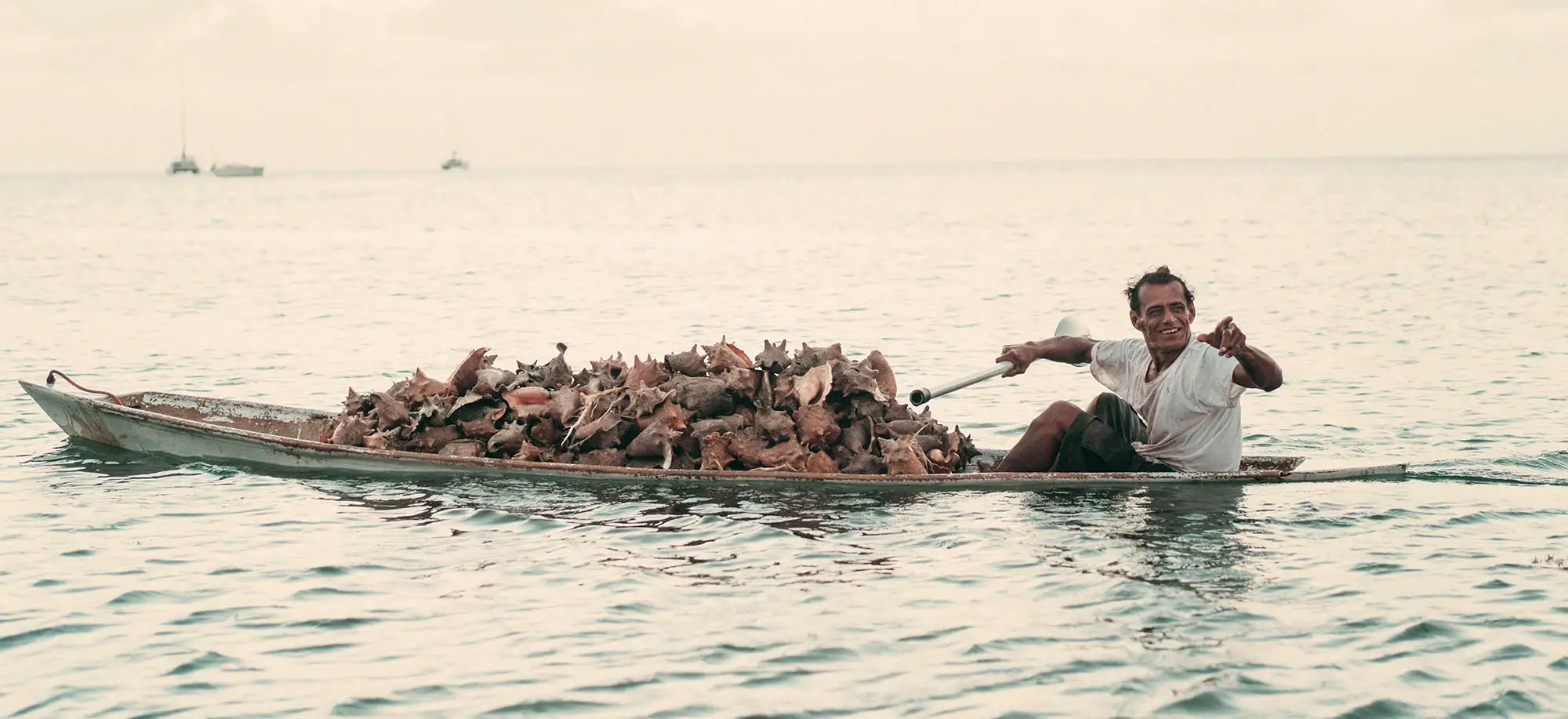 image-viajar-a-belice-cayo-ambergris-g1.webp - Pangea Viajes