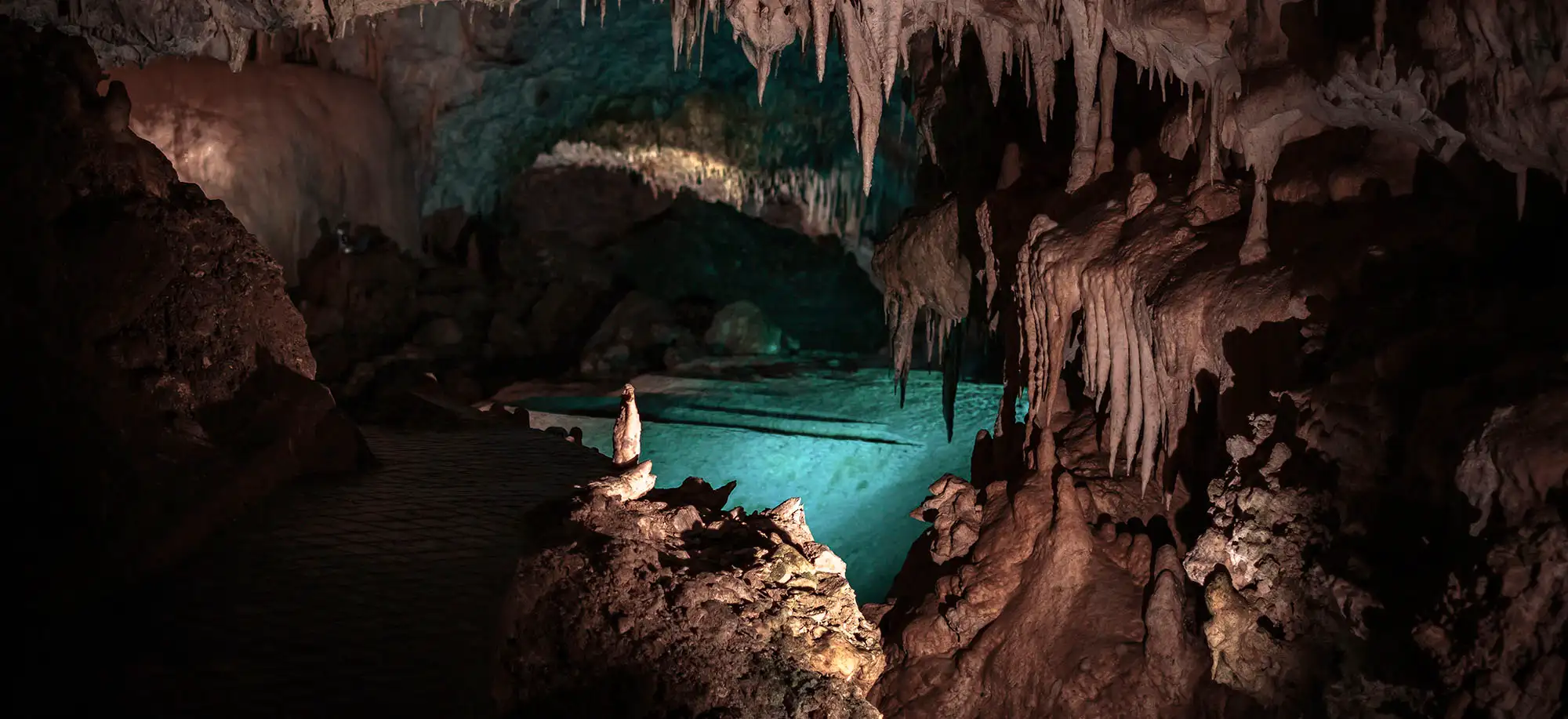 Viatges a Coves
